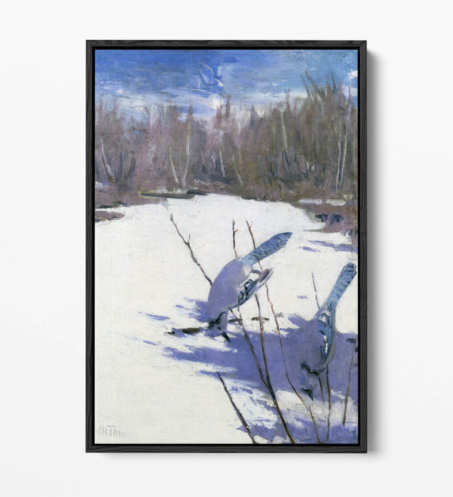 Canvas Art Print – Blue Jays In Winter Float Effect On MDF Frame, Ready To Hang