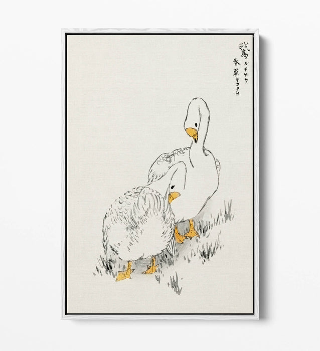 Canvas Wall Art Print – Duck And Young Grass On Float Effect Canvas Frame