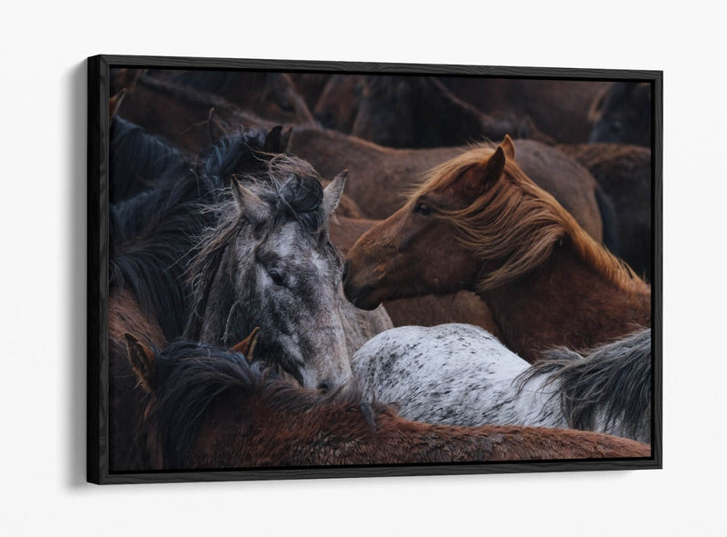 Horse Canvas Art - Float Effect Canvas Wall Art Print With Vibrant Color