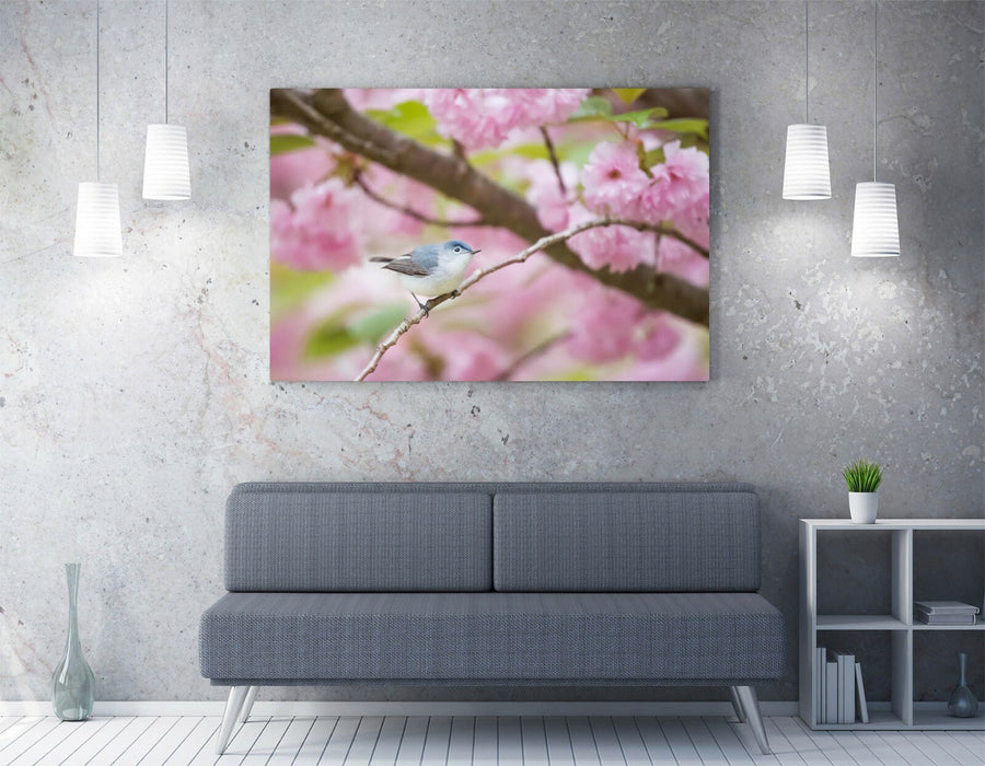 BIRD & PINK CHERRY BLOSSOM PHOTO -CANVAS WALL ART PRINT ARTWORK 30MM DEEP FRAMED