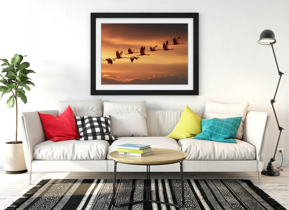 Framed Wall Art - Beautiful Bird Wall Decor With Orange Sky Poster Print