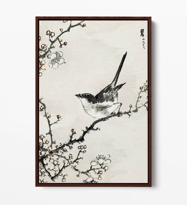 Float Effect Canvas Art - NUMATA KASHU Bush Warbler & White Plum Tree Print