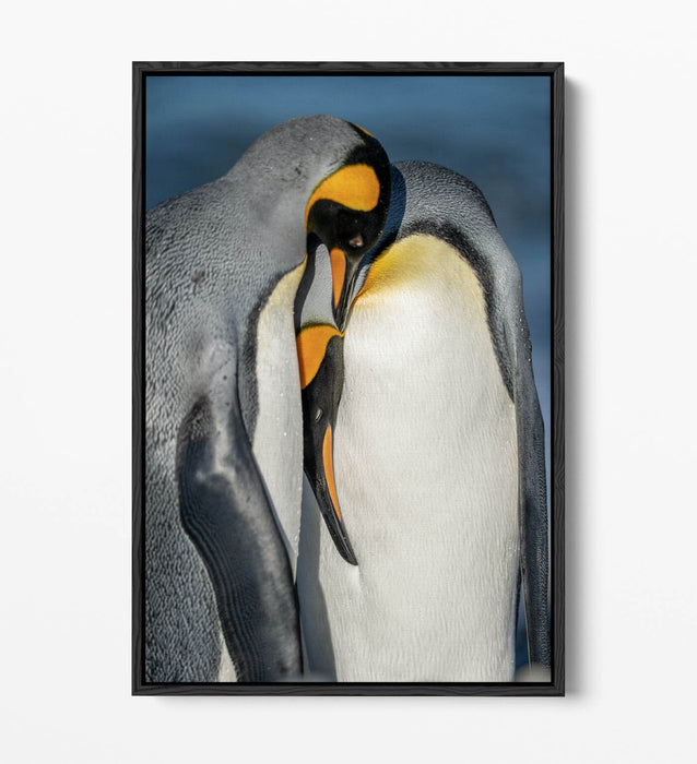 Penguin Couple Canvas - Cute Animal Artwork | Float Effect Canvas Wall Art Print