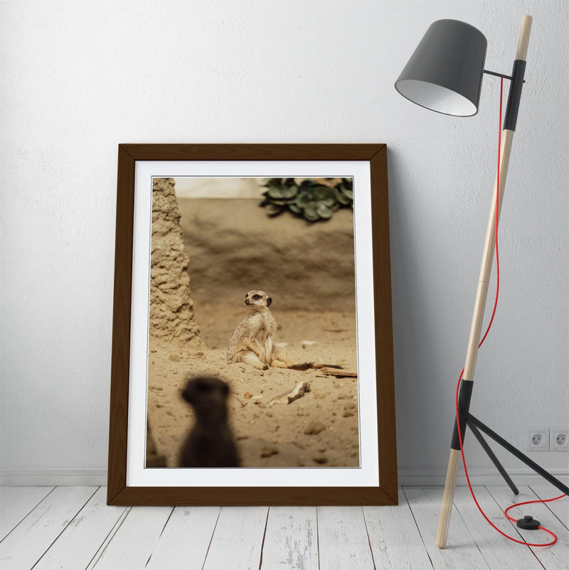 Meerkat Wall Art - Framed Sand Meerkat Print | Cute Animal Art Bedroom Decor