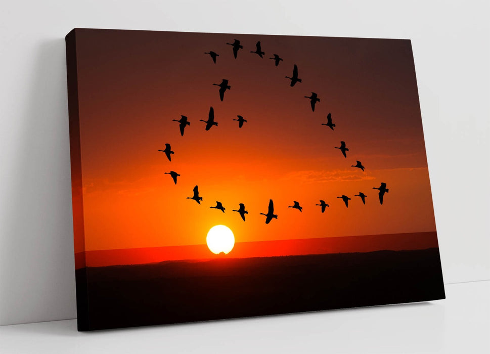 Heart Shaped Canvas Art - Bird Flock Sunset Wall Decor, Ready To Hang