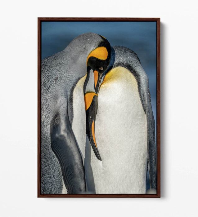 Penguin Couple Canvas - Cute Animal Artwork | Float Effect Canvas Wall Art Print
