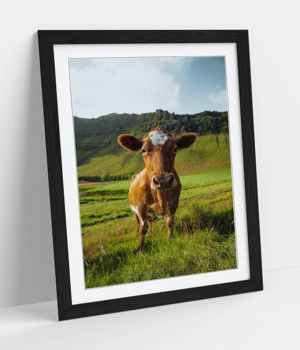 Framed Wall Art - Brown Cow In Green Field | Handmade UK Home Decor Print