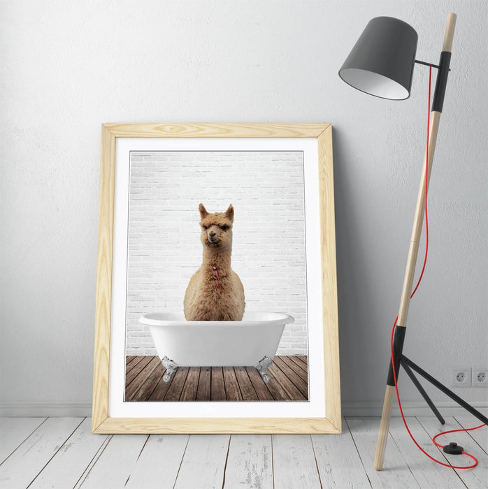 LLAMA IN BATHTUB -QUIRKY ART FRAMED POSTER PICTURE PRINT BATHROOM ARTWORK