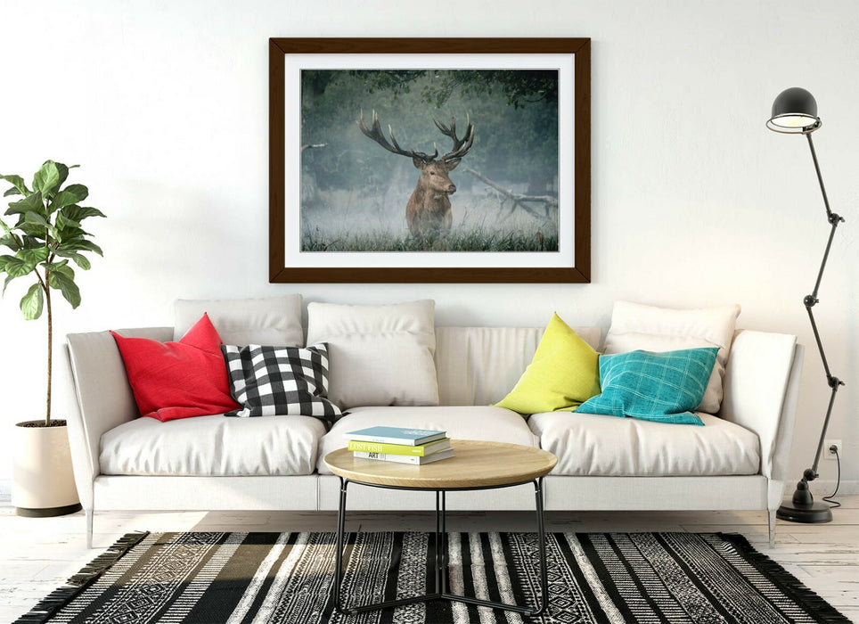 MAJESTIC STAG -WALL ART FRAMED POSTER PICTURE PRINT- ANIMAL PHOTOGRAPHY