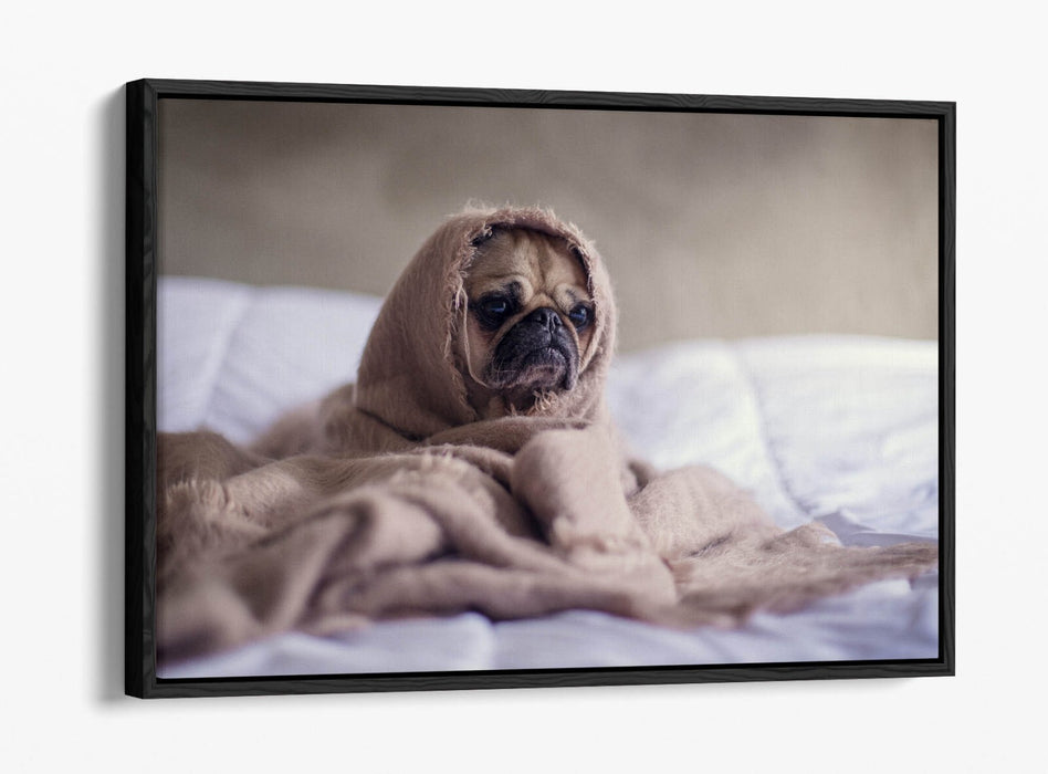 Pug Dog Canvas Art - Cute Bedroom Wall Decor | Handmade Float Effect Print