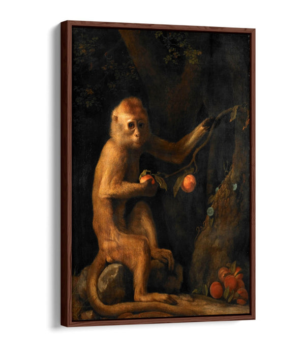 Canvas Wall Art Print – George Stubbs Monkey | Premium Float Effect Canvas