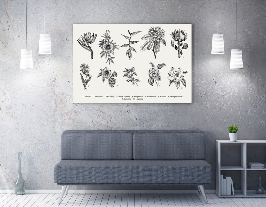 Flower Canvas Wall Art – Handmade Floral Bedroom Print With Labelled Flower Art