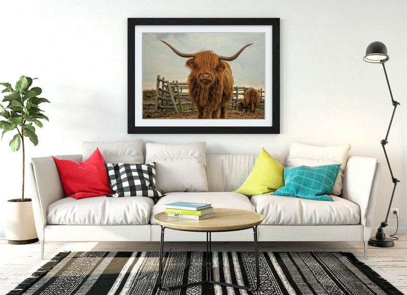 Highland Cow Wall Art - Rustic Farm Decor Framed Animal Poster Print