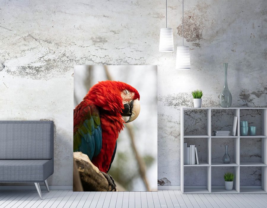 Parrot Canvas Wall Art - Handmade Multicolor Bird Wall Artwork on Archival Grade Canvas