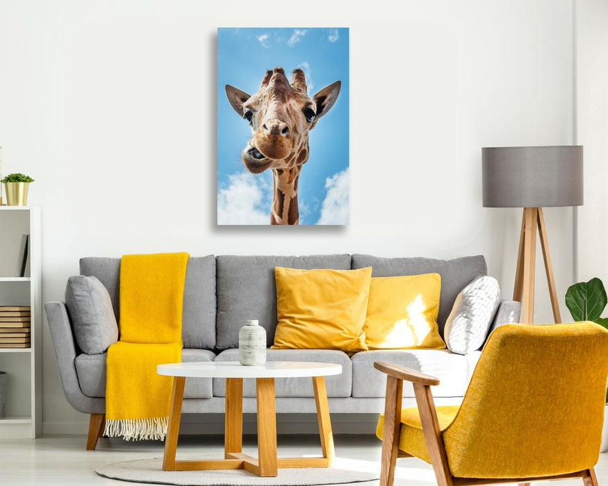 GIRAFFE SMILING QUIRKY CANVAS WALL ART PRINT ARTWORK ANIMAL FRAMED
