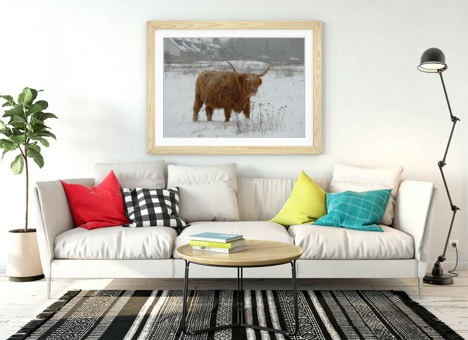 HIGHLAND COW SNOWY LANDSCAPE -WALL ART FRAMED POSTER PICTURE PRINT- ANIMAL PHOTO