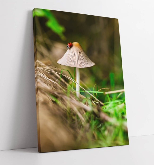 Ladybug Mushroom Wall Art - Handmade Canvas Print | Vibrant Bedroom Decor