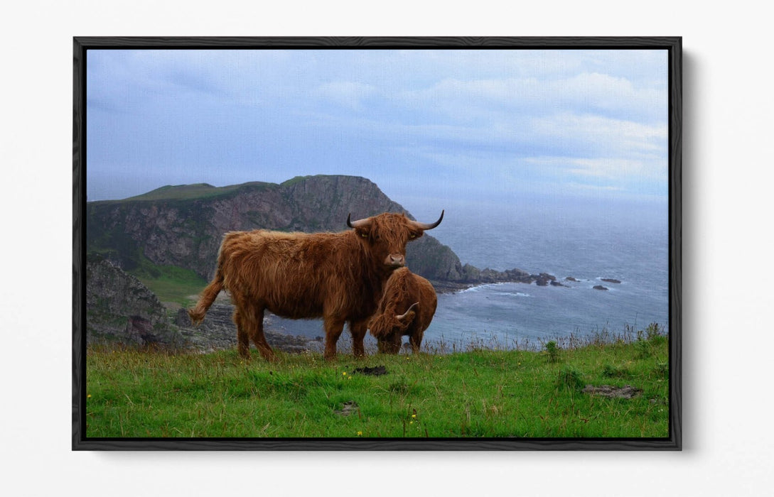 Canvas Wall Art - Highland Cows Coastal Landscape Print | Float Effect, Handmade