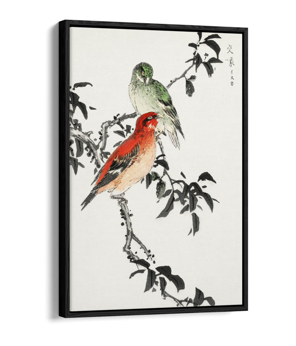Canvas Wall Art - NUMATA KASHU Crossbill Float Effect Premium Print 30mm Frame