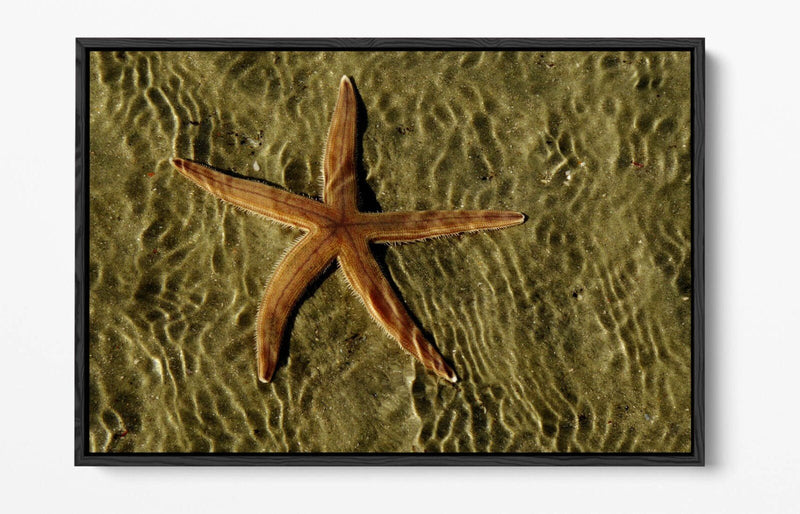 Canvas Wall Art - Starfish On Sand Float Effect Premium Handmade Print