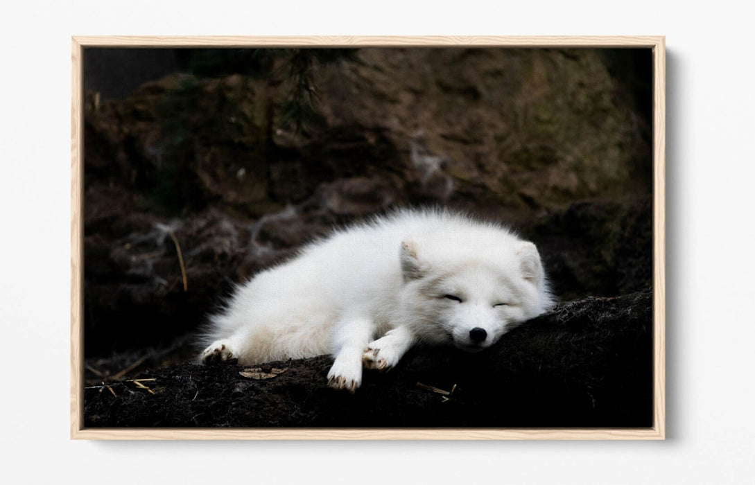 Wolf Canvas Art - Handmade Float Effect Canvas Wall Decor With Premium Frame