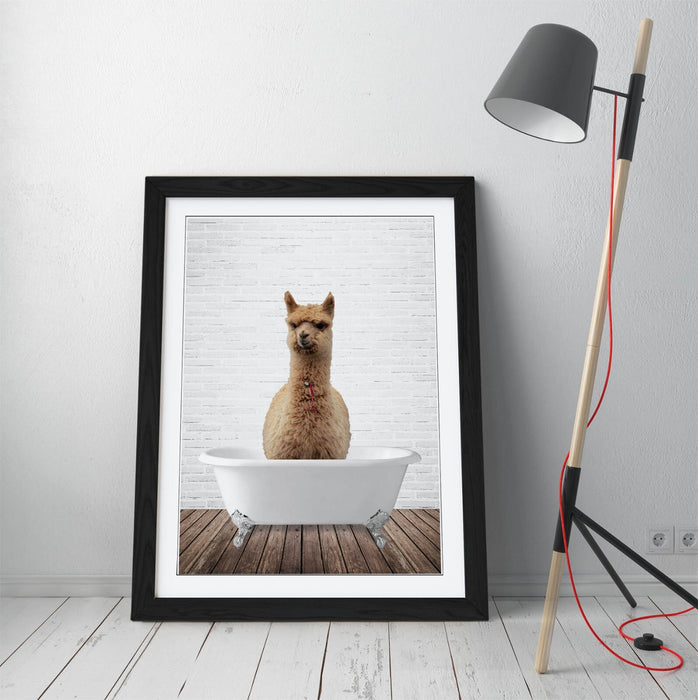 LLAMA IN BATHTUB -QUIRKY ART FRAMED POSTER PICTURE PRINT BATHROOM ARTWORK