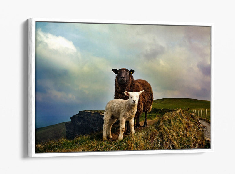 Canvas Wall Art - Irish Sheep Mountain Landscape | Handmade Float Effect Frame