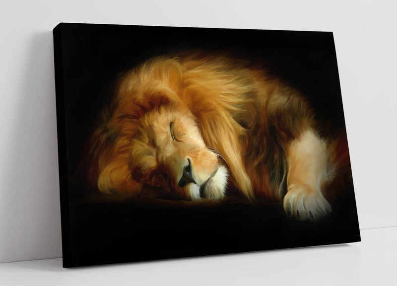 Lion Canvas Wall Art – Sleeping Lion Print | UK Handmade Canvas Wall Decor