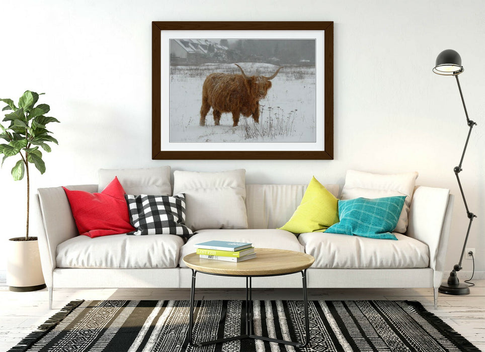 HIGHLAND COW SNOWY LANDSCAPE -WALL ART FRAMED POSTER PICTURE PRINT- ANIMAL PHOTO