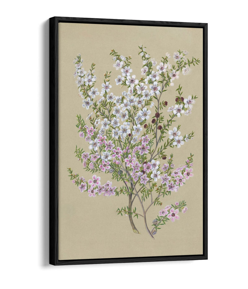 Float Effect Canvas Art - Premium Handmade UK Wall Art With 30mm Deep Frame