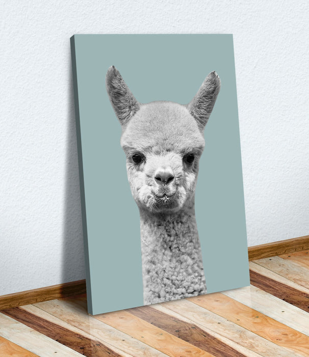 DUCK EGG BLUE ANIMAL COLLECTION HIGHLAND COW GIRAFFE CANVAS WALL ART PRINT