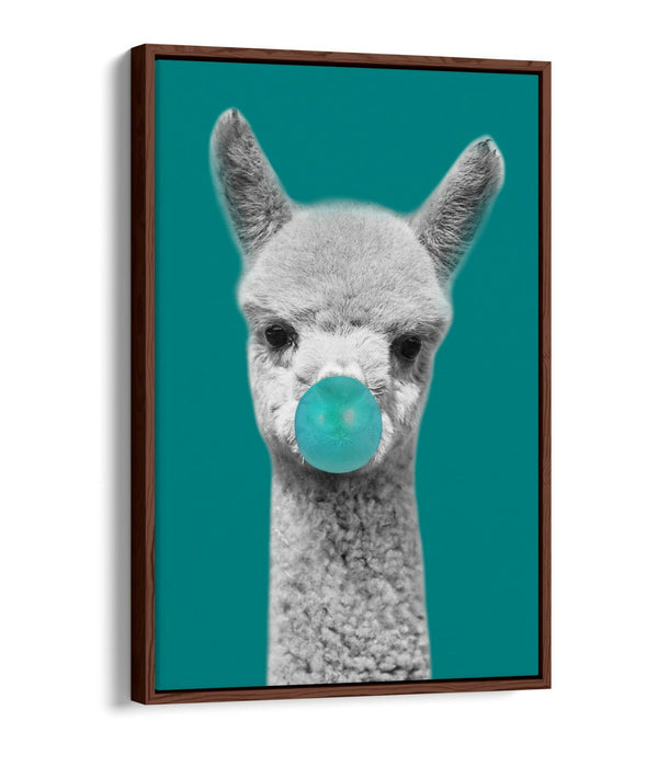 ALPACA BLACK WHITE TEAL BUBBLEGUM FLOAT EFFECT CANVAS WALL ART PIC PRINT