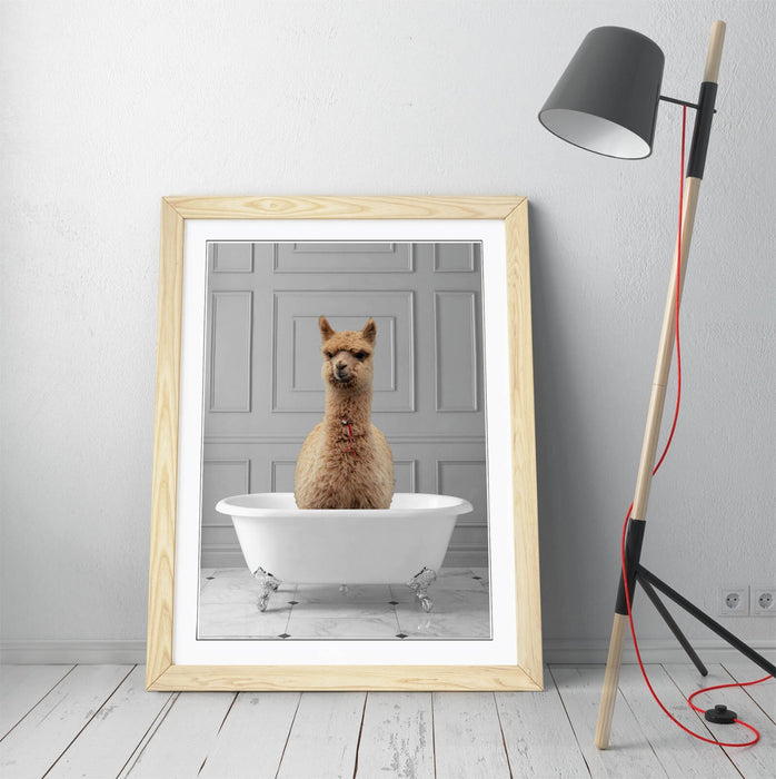 LLAMA IN BATHTUB -QUIRKY ART FRAMED POSTER PICTURE PRINT BATHROOM ARTWORK