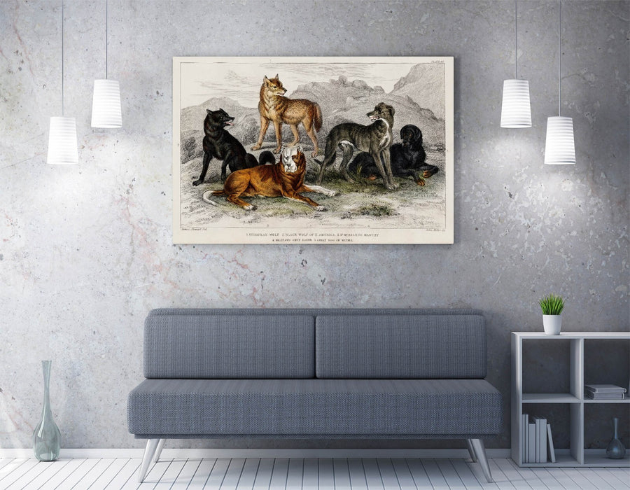 Canvas Wall Art - UK Made Dog Artwork Print on Custom MDF Frame with Ready to Hang Canvas