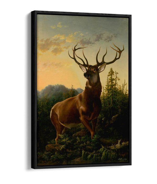 Canvas Wall Art - Handmade Deer Forest Print | Float Effect, Premium Varnish Finish