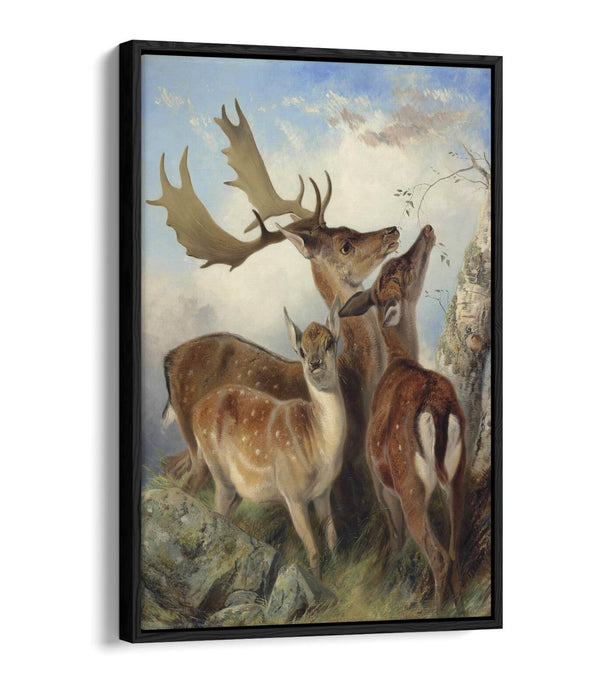 Float Effect Canvas Art - Fallow Deer Wall Art with Custom MDF Frame