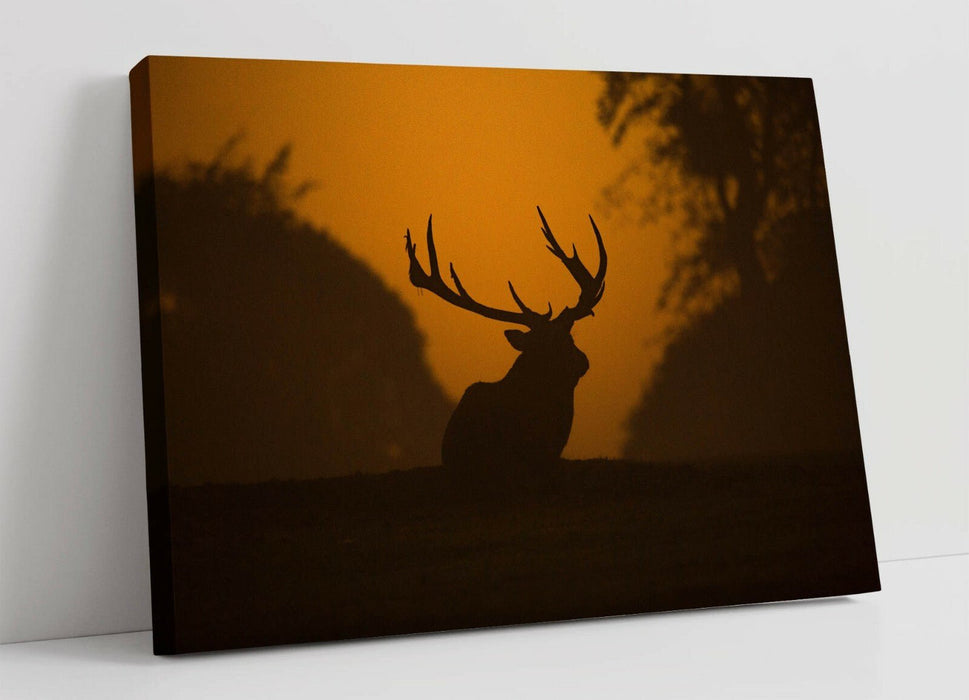 Canvas Wall Art - Stag Sunset Silhouette | Framed Animal Wall Decor Print