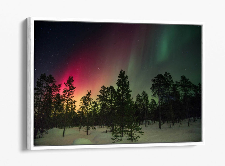 Float Effect Canvas Art - Northern Lights Graffiti Print | Pink Green Wall Decor