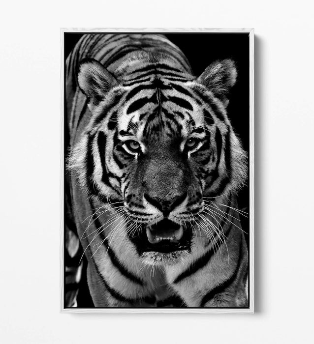 TIGER BLACK AND WHITE -FLOAT EFFECT CANVAS WALL ART PIC PRINT-