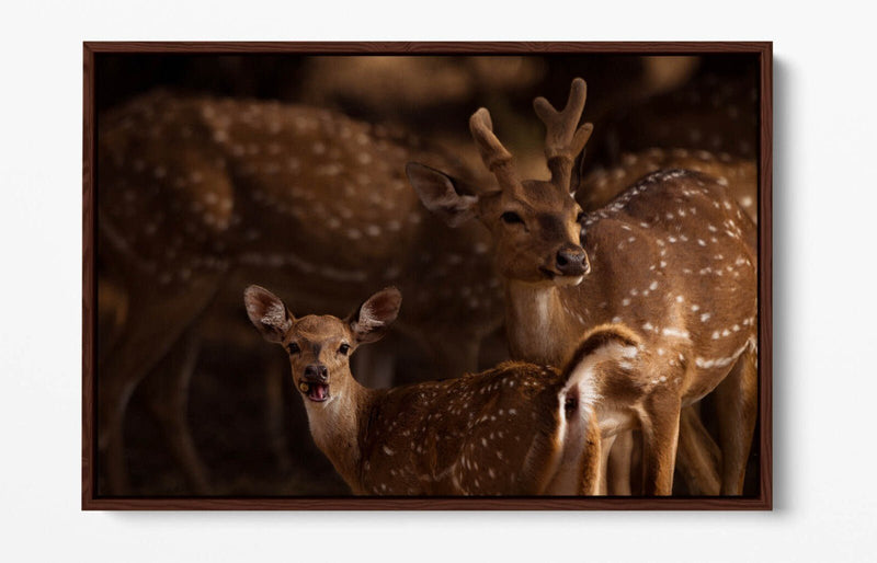 Canvas Wall Art - Deer Standing Together Float Effect Premium Bedroom Decor