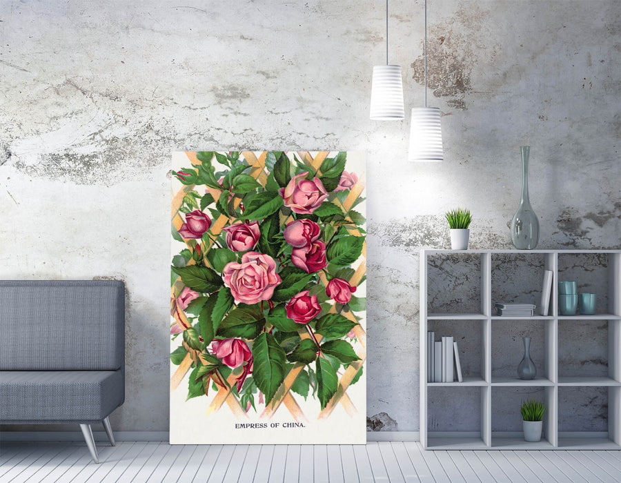 Canvas Wall Art - Empress Of China Rose Lithograph Print On Archival Grade Canvas