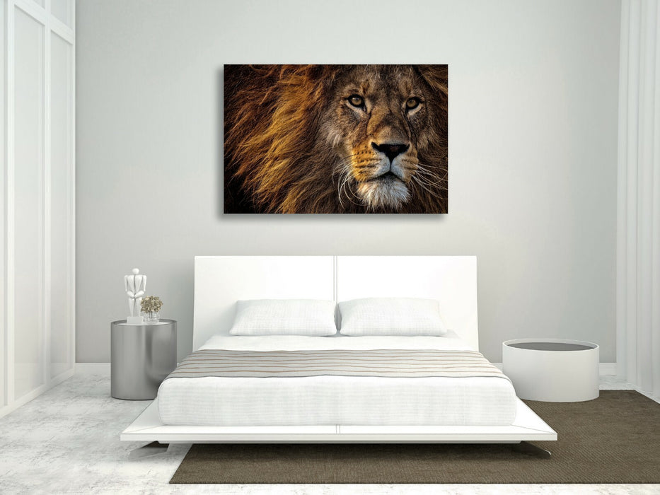 LION HEAD CANVAS WALL ART PRINT ARTWORK FRAMED  STRENGTH FIERCE COURAGE