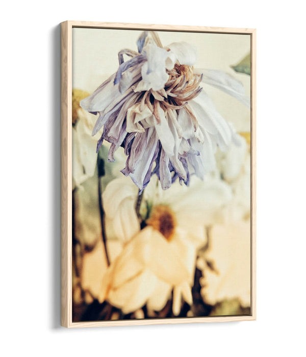 VINTAGE DEAD FLOWERS A -FLOAT EFFECT CANVAS WALL ART PIC PRINT- VIOLET