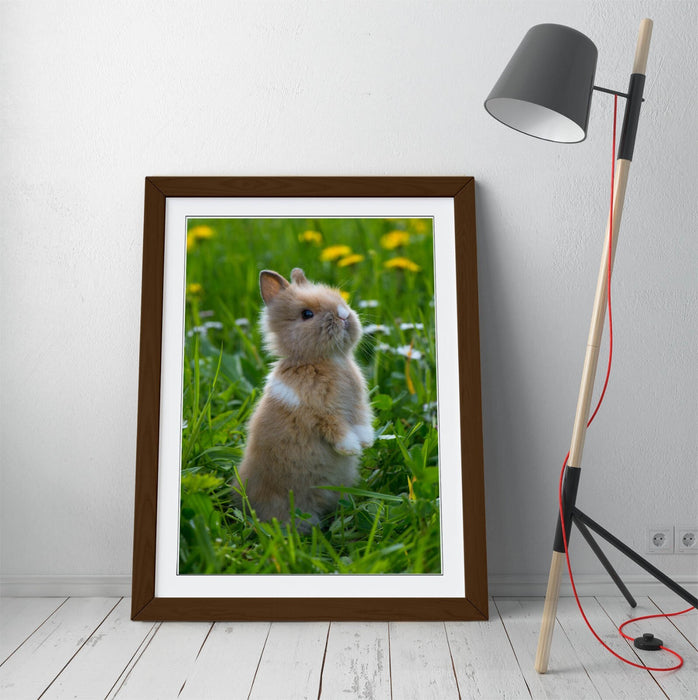 Bunny Wall Art – Framed Cute Rabbit Poster Print | Standing Rabbit Decor