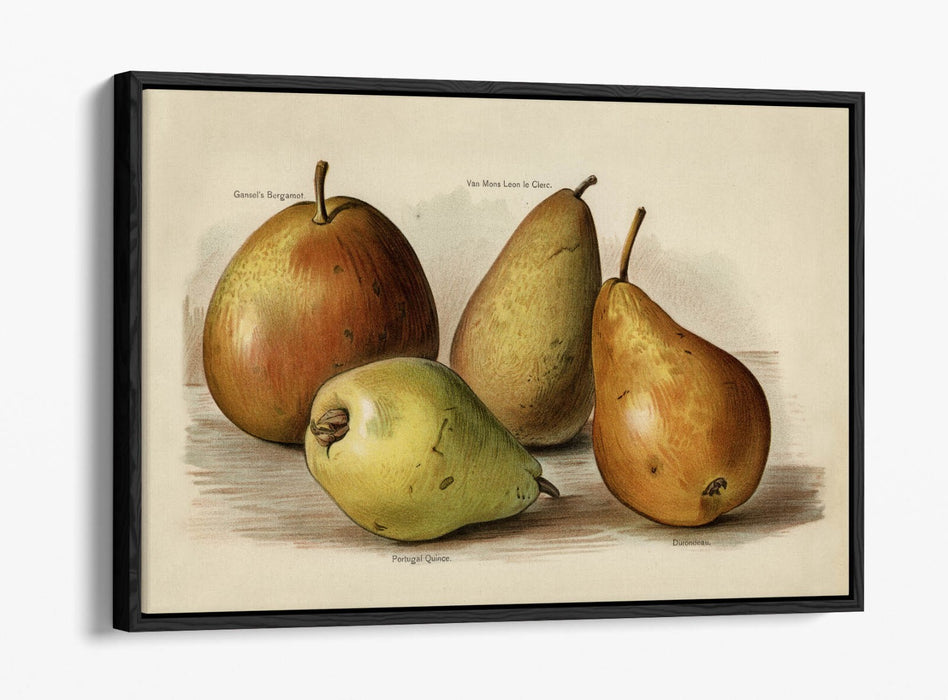 Canvas Wall Art | Handmade UK Canvas With 30mm Deep Frame & Scratch Resistant Premium Varnish