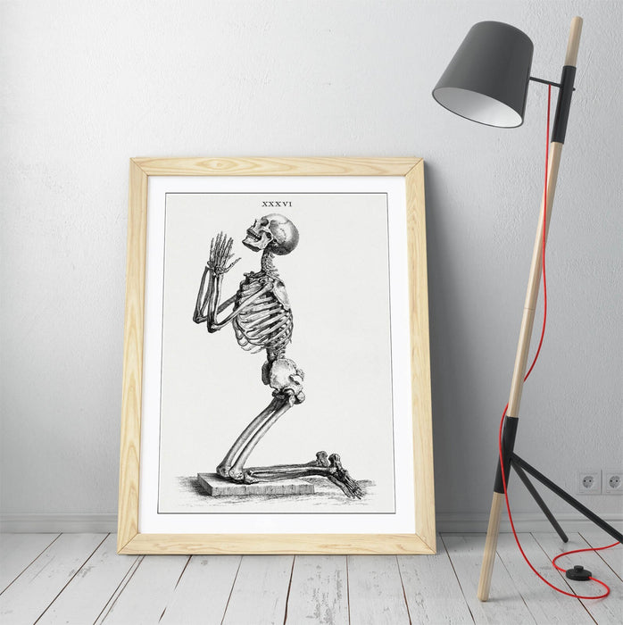 Framed Skeleton Wall Art – William Cheselden Praying Skeleton Poster Print in Wood Grain Frame
