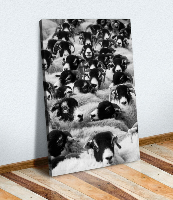 Black White Canvas Art - Sheep Head Artwork On 30mm Deep Frame, Ready To Hang