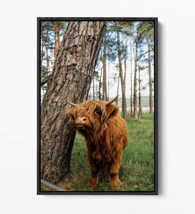 Highland Cow Canvas - Cute Animal Print Float Effect Wall Art | Handmade UK