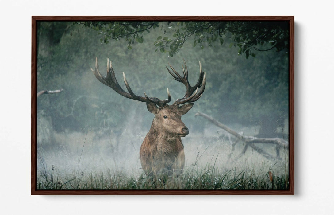 MAJESTIC STAG -FLOAT EFFECT CANVAS WALL ART PIC PRINT- ANIMAL PHOTO