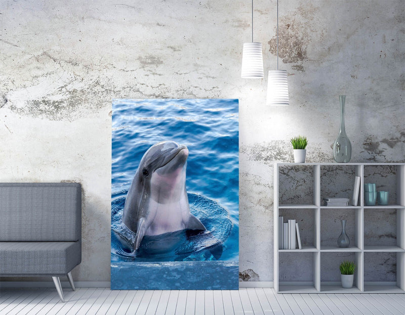 Dolphin Canvas Art - Cute Peaking Dolphin Ready To Hang Ocean Wall Decor